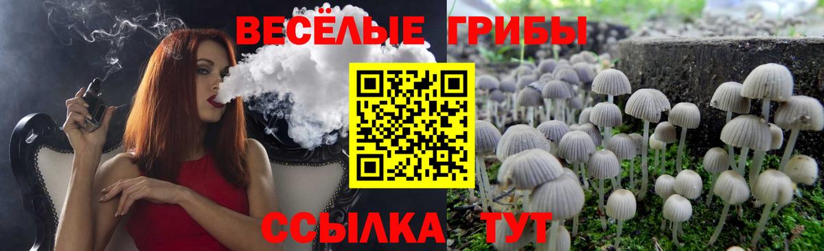 Галлюциногенные грибы ЛСД  Вход с VPN  Отрадное 
