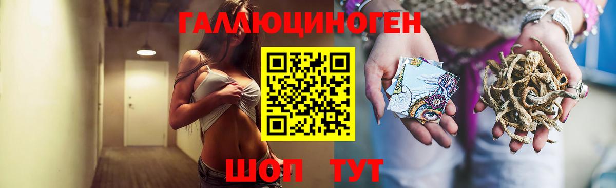 Галлюциногенные грибы Psilocybe Отрадное